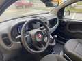Fiat Panda 1.0 FireFly S&S Hybrid Pandina Bianco - thumbnail 12