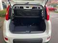 Fiat Panda 1.0 FireFly S&S Hybrid Pandina Bianco - thumbnail 13