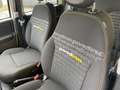 Fiat Panda 1.0 FireFly S&S Hybrid Pandina Bianco - thumbnail 10