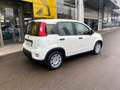 Fiat Panda 1.0 FireFly S&S Hybrid Pandina Bianco - thumbnail 3