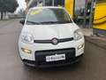 Fiat Panda 1.0 FireFly S&S Hybrid Pandina Bianco - thumbnail 7