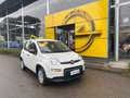 Fiat Panda 1.0 FireFly S&S Hybrid Pandina Bianco - thumbnail 1
