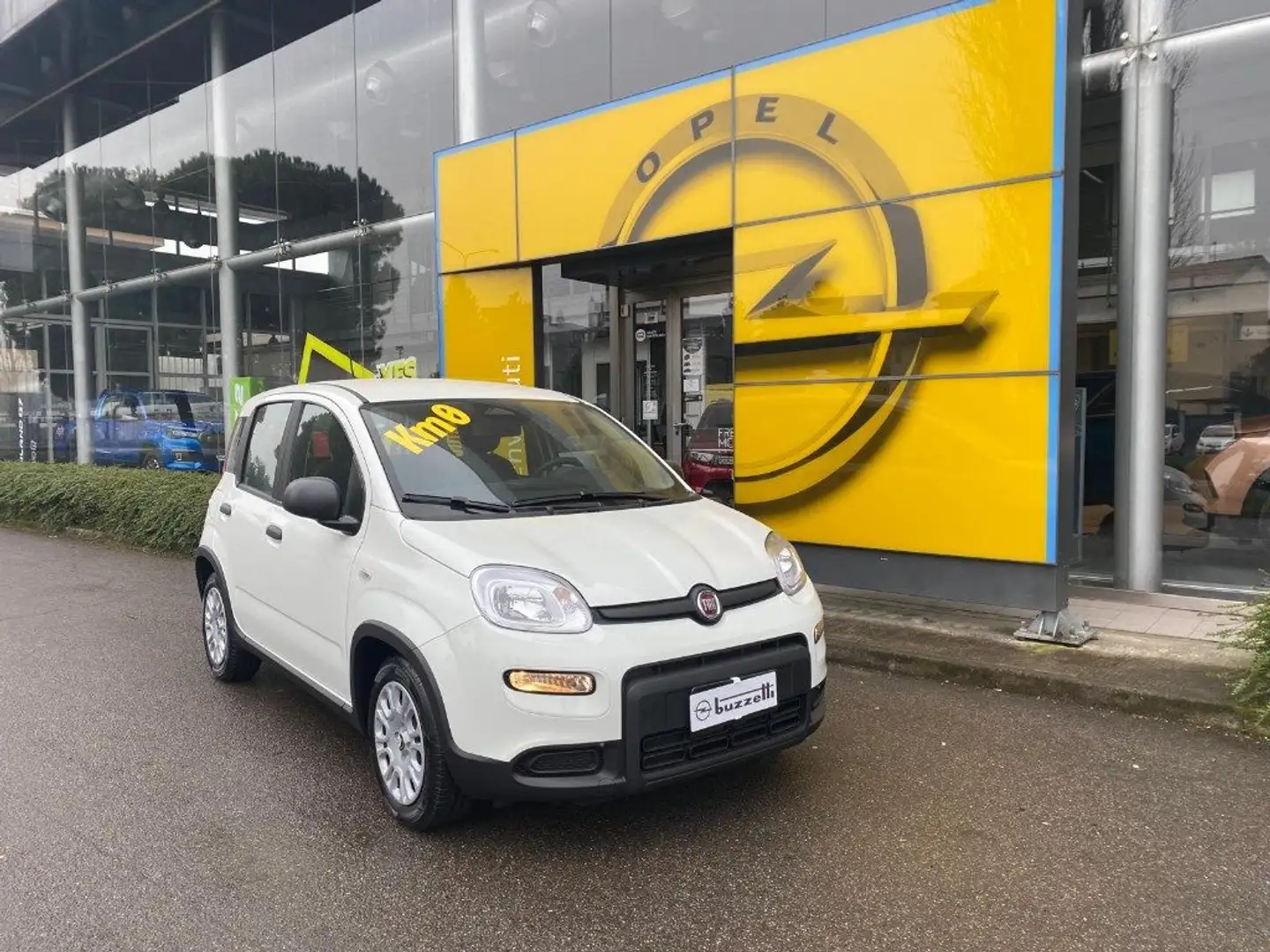 Fiat Panda 1.0 FireFly S&S Hybrid Pandina Bianco - 1