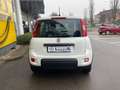 Fiat Panda 1.0 FireFly S&S Hybrid Pandina Bianco - thumbnail 4