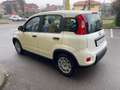 Fiat Panda 1.0 FireFly S&S Hybrid Pandina Bianco - thumbnail 5
