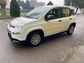 Fiat Panda 1.0 FireFly S&S Hybrid Pandina Bianco - thumbnail 6