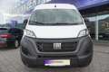 Fiat Ducato  33 140 Multijet L3H2 Klima/Kam/PDC/Navi Weiß - thumbnail 2