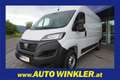 Fiat Ducato  33 140 Multijet L3H2 Klima/Kam/PDC/Navi Weiß - thumbnail 1