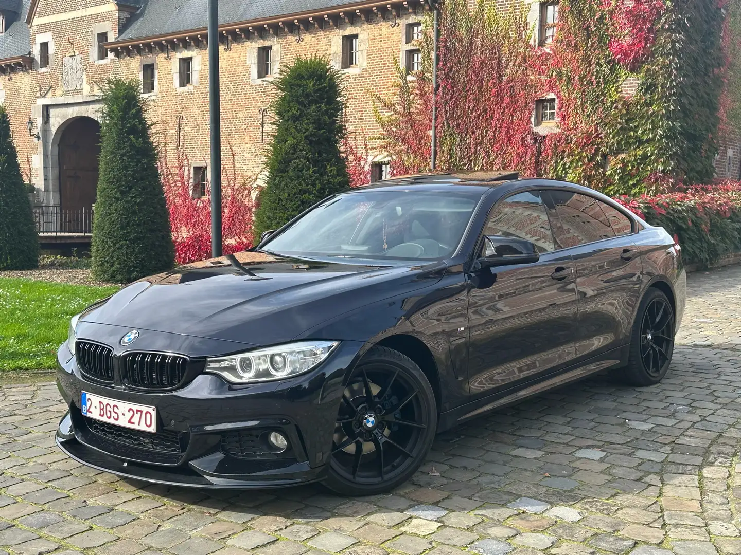 BMW 430 430d Gran Coupe Aut. Sport Line Modrá - 1