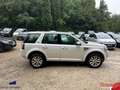 Land Rover Freelander II 2.2 TD4 150cv BVA 1ère Main Blanc - thumbnail 5