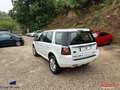 Land Rover Freelander II 2.2 TD4 150cv BVA 1ère Main Blanc - thumbnail 3