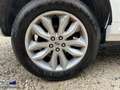 Land Rover Freelander II 2.2 TD4 150cv BVA 1ère Main Blanc - thumbnail 16