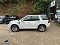 Land Rover Freelander II 2.2 TD4 150cv BVA 1ère Main Alb - thumbnail 4