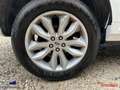 Land Rover Freelander II 2.2 TD4 150cv BVA 1ère Main Blanc - thumbnail 16