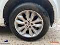 Land Rover Freelander II 2.2 TD4 150cv BVA 1ère Main Blanc - thumbnail 15