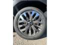 Subaru Forester 2.0 ie 100kW AWD Platinum Grün - thumbnail 11