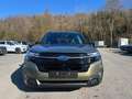 Subaru Forester 2.0 ie 100kW AWD Platinum Grün - thumbnail 5