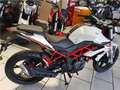 Benelli BN 125 naked Weiß - thumbnail 4