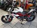 Benelli BN 125 naked Blanco - thumbnail 5