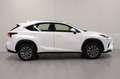 Lexus NX 300h AWD Trekhaak Bianco - thumbnail 8