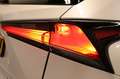 Lexus NX 300h AWD Trekhaak Bianco - thumbnail 11
