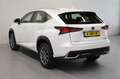 Lexus NX 300h AWD Trekhaak Bianco - thumbnail 13