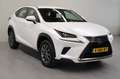 Lexus NX 300h AWD Trekhaak Bianco - thumbnail 7