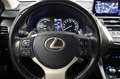 Lexus NX 300h AWD Trekhaak Bianco - thumbnail 30
