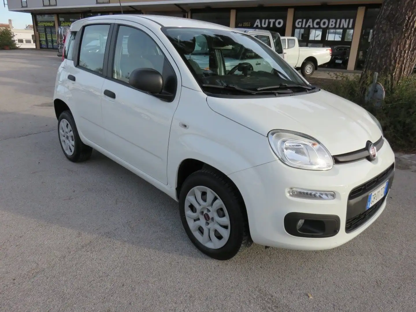 Fiat Panda 0.9 TwinAir Turbo Natural Power KM48000 Blanc - 2
