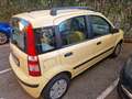 Fiat Panda Panda 1.2 Dynamic Class eco Giallo - thumbnail 4