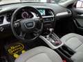 Audi A4 allroad 2.0 TDI 190 CV QUATTRO S-TRONIC XENO NAVI Marrone - thumbnail 8