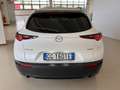 Mazda CX-30 MAZDA CX-30 2.0L E-SKYACTIV-G M-HYBRID 2WD EXEe Bianco - thumbnail 13