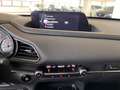 Mazda CX-30 MAZDA CX-30 2.0L E-SKYACTIV-G M-HYBRID 2WD EXEe Bianco - thumbnail 7