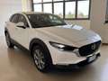 Mazda CX-30 MAZDA CX-30 2.0L E-SKYACTIV-G M-HYBRID 2WD EXEe Bianco - thumbnail 3