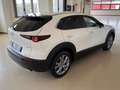 Mazda CX-30 MAZDA CX-30 2.0L E-SKYACTIV-G M-HYBRID 2WD EXEe Bianco - thumbnail 2