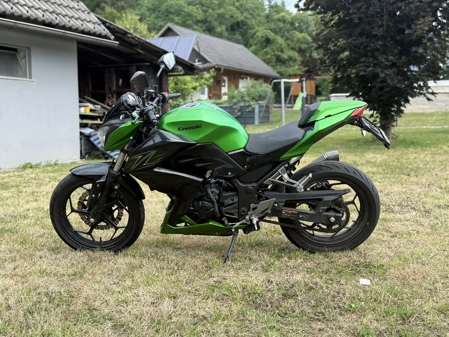 Kawasaki Z 300 Green - 1
