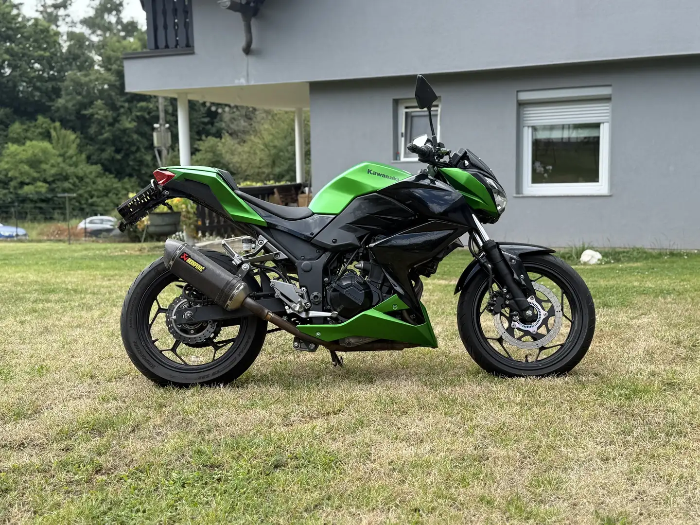 Kawasaki Z 300 Green - 2
