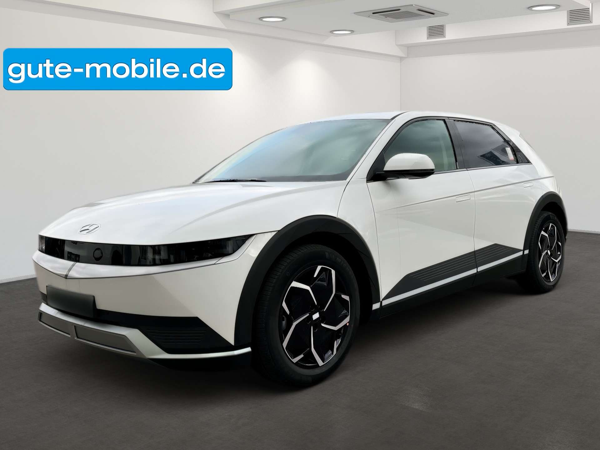 Brugt Hyundai Ioniq 5 