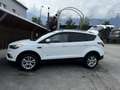 Ford Kuga 2,0 TDCi Titanium Start/Stop Powershift Aut. AWD - thumbnail 2