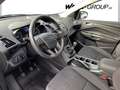 Ford Kuga Trend*PDC*AHK*SITZHEIZUNG*8-FACH-ALU* Grijs - thumbnail 11