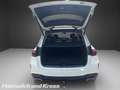 Mercedes-Benz GLE 300 GLE 300 d 4Matic AMG Line +AHK+Pano+HUD+Night+ShzF Bianco - thumbnail 9