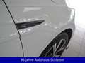 Volkswagen Polo R-Line 1,0 TSI DSG ACC LED Matrix R.View Weiß - thumbnail 30