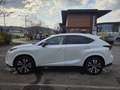 Lexus NX 300h NX 300h Aut. Weiß - thumbnail 1