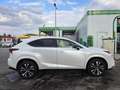 Lexus NX 300h NX 300h Aut. Weiß - thumbnail 3
