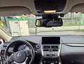 Lexus NX 300h NX 300h Aut. Weiß - thumbnail 8