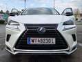 Lexus NX 300h NX 300h Aut. Weiß - thumbnail 2