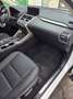 Lexus NX 300h NX 300h Aut. Weiß - thumbnail 7