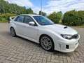 Subaru Impreza Impreza III 2007 2.5 WRX Sti-S 4p Alb - thumbnail 13