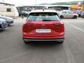 Volkswagen Golf VIII Alltrack 2.0 TDI 4Motion Klima Navi Rood - thumbnail 5