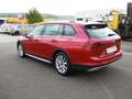 Volkswagen Golf VIII Alltrack 2.0 TDI 4Motion Klima Navi Rood - thumbnail 6